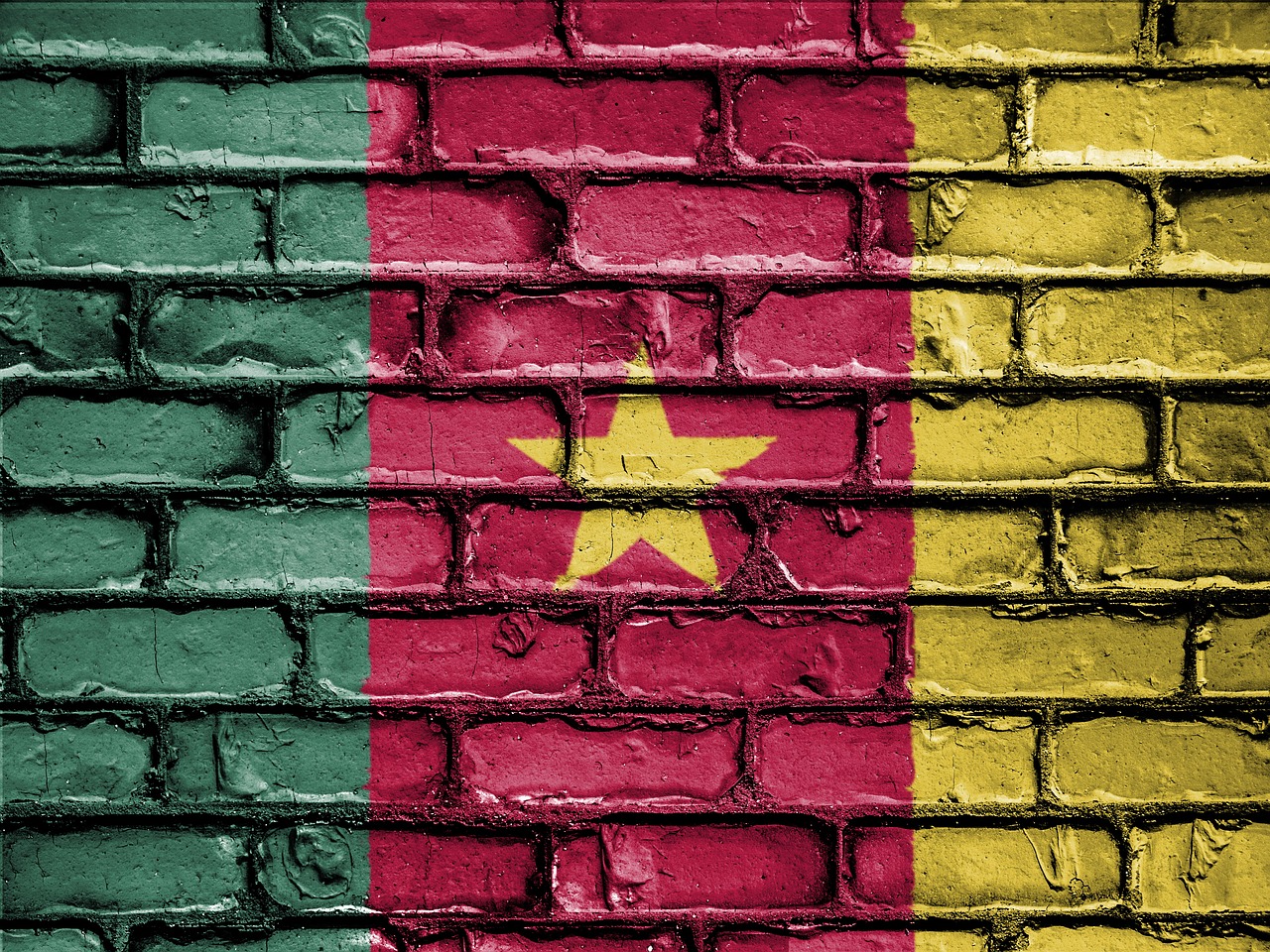 bitcoin in cameroon