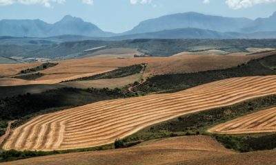 Cardano Land Ownership Africa