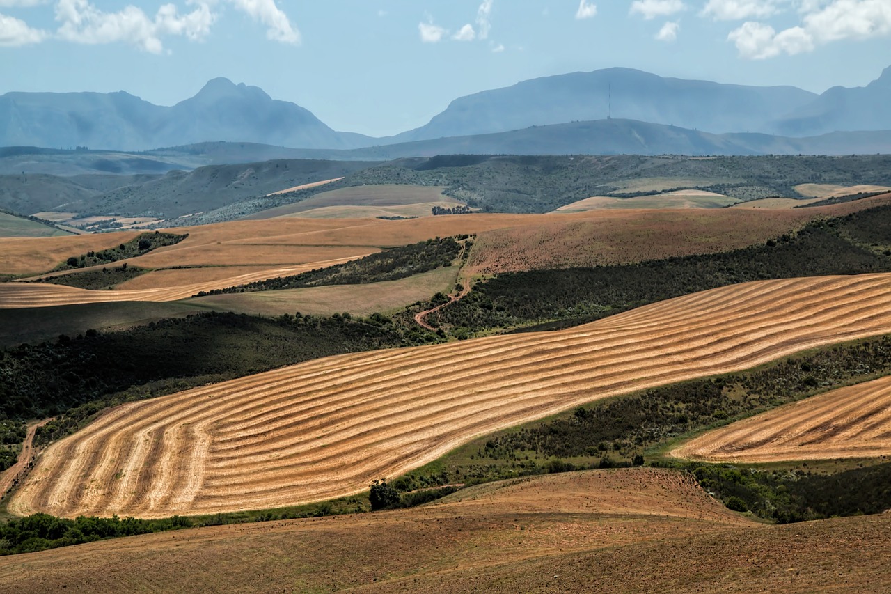 Cardano Land Ownership Africa