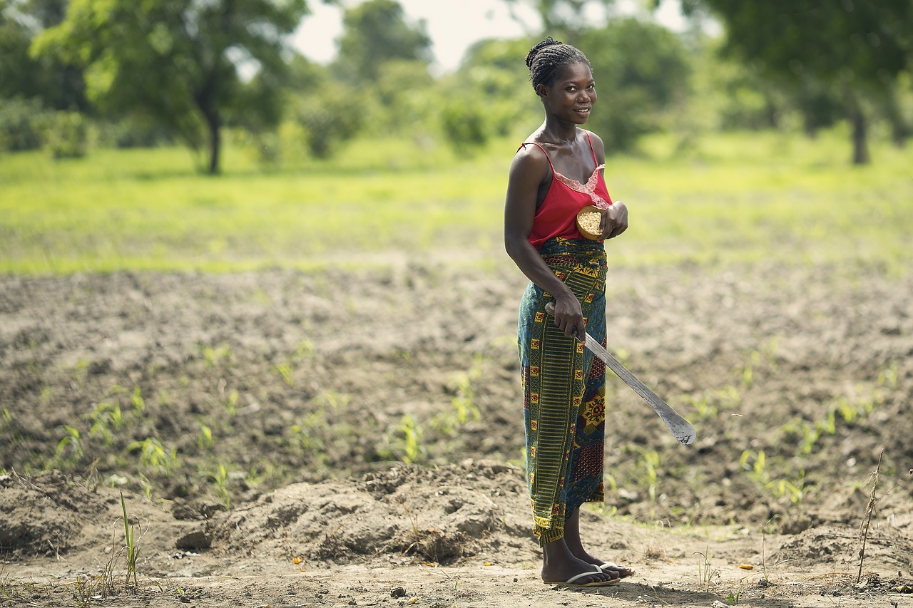 Tokens to African Farmers