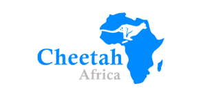 Cheetah Africa