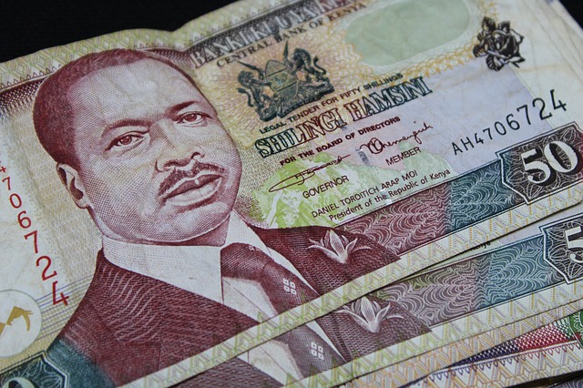 Kenyan Shilling