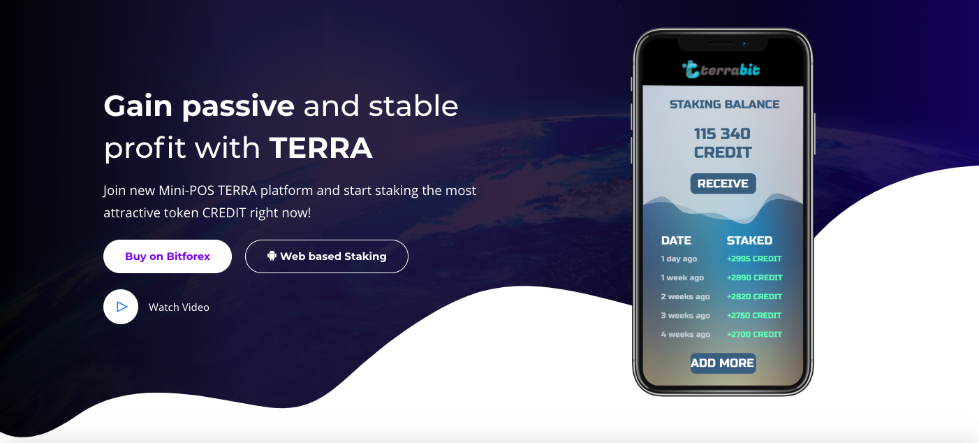 TerraBit