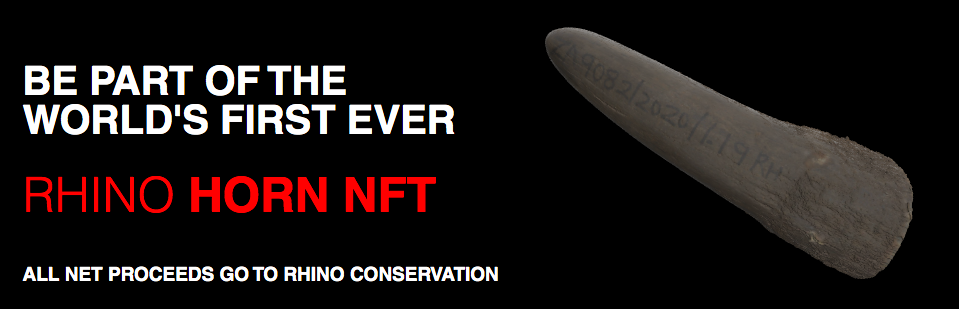 Rhino Horn NFT